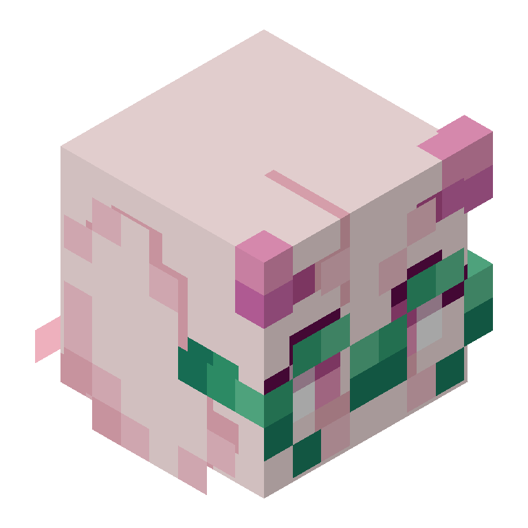 HEAD_ISO