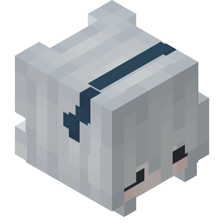 HEAD_ISO