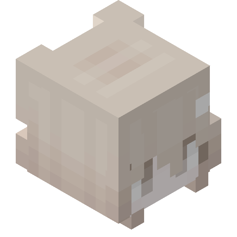 HEAD_ISO
