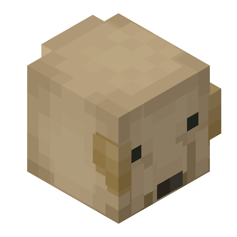 HEAD_ISO
