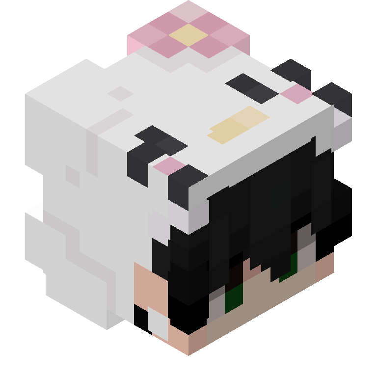 HEAD_ISO
