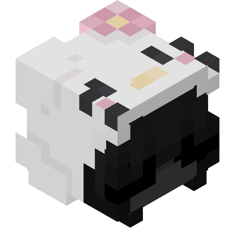 HEAD_ISO
