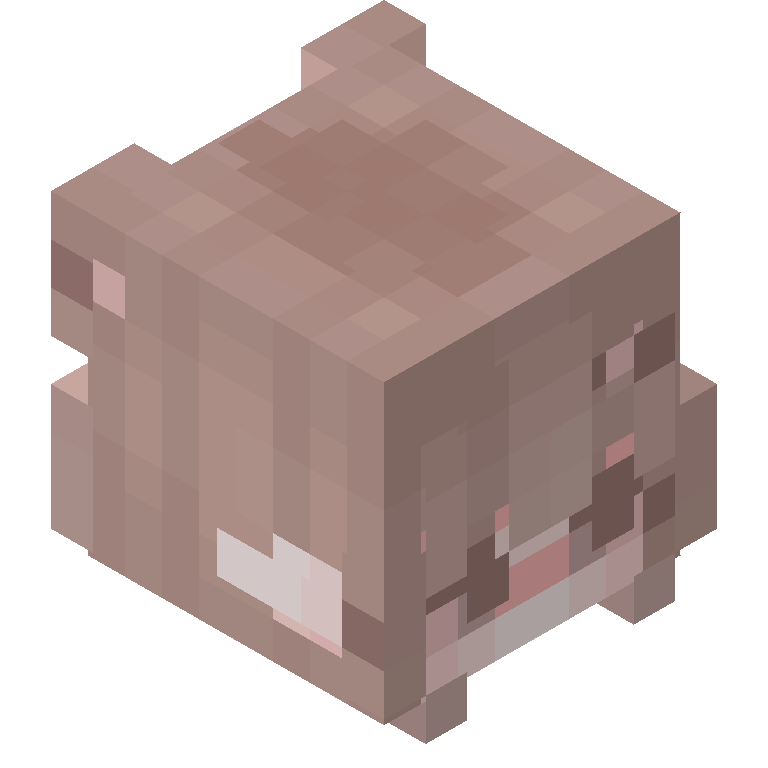HEAD_ISO