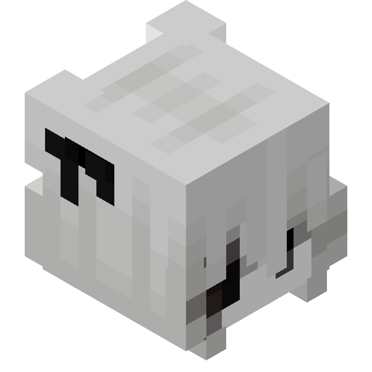 HEAD_ISO