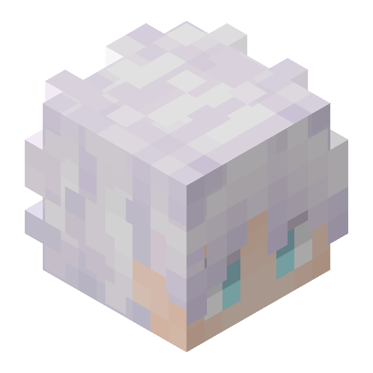 HEAD_ISO