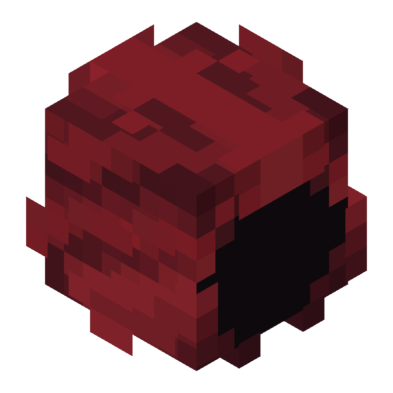 HEAD_ISO