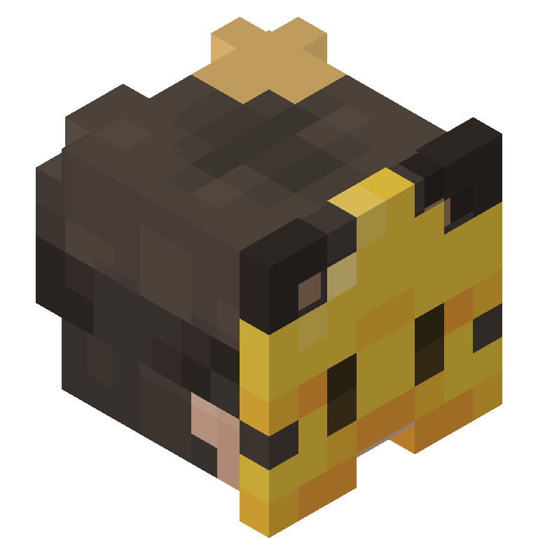 HEAD_ISO