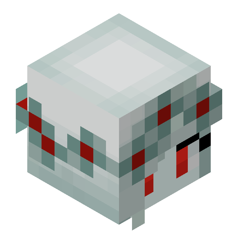 HEAD_ISO