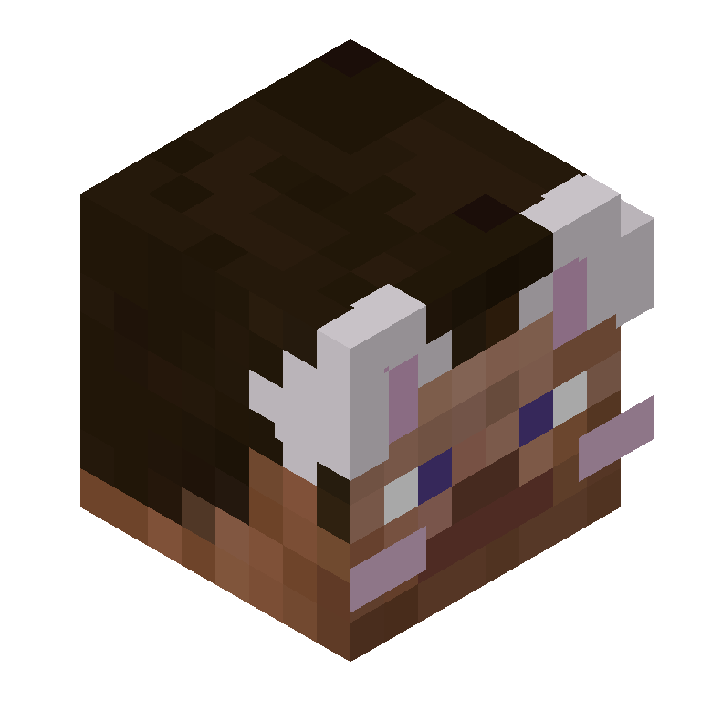 HEAD_ISO