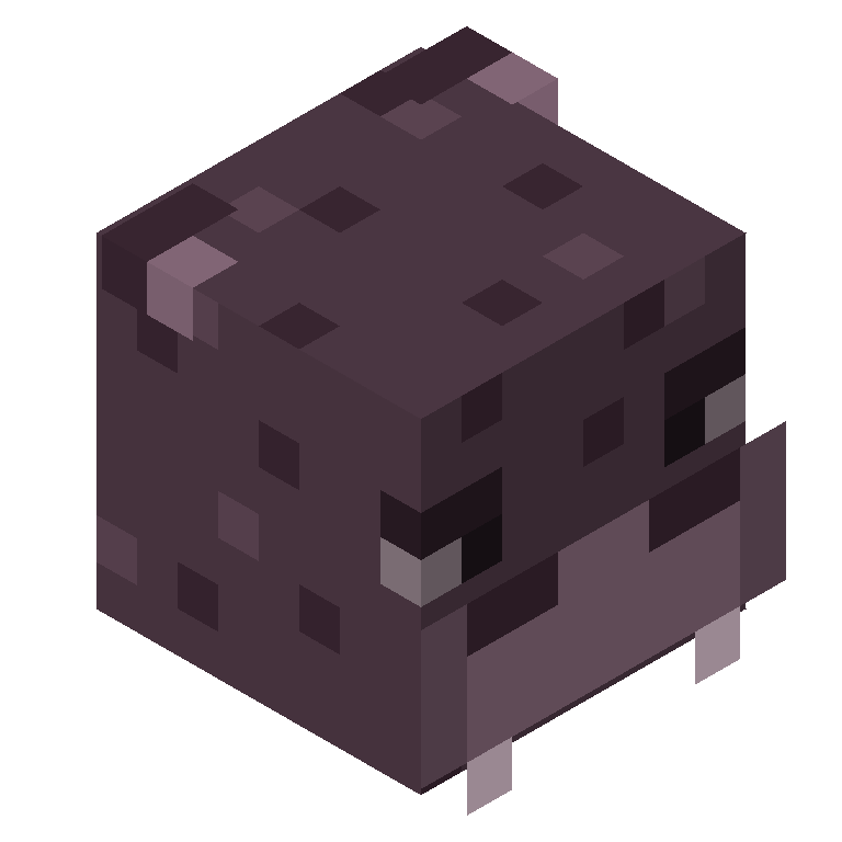 HEAD_ISO