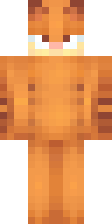BODY