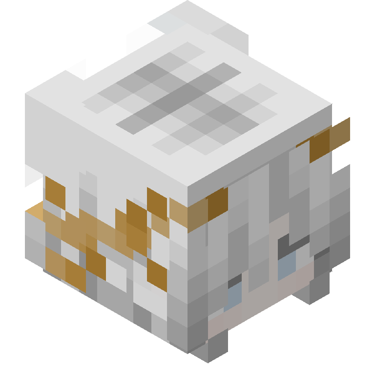 HEAD_ISO