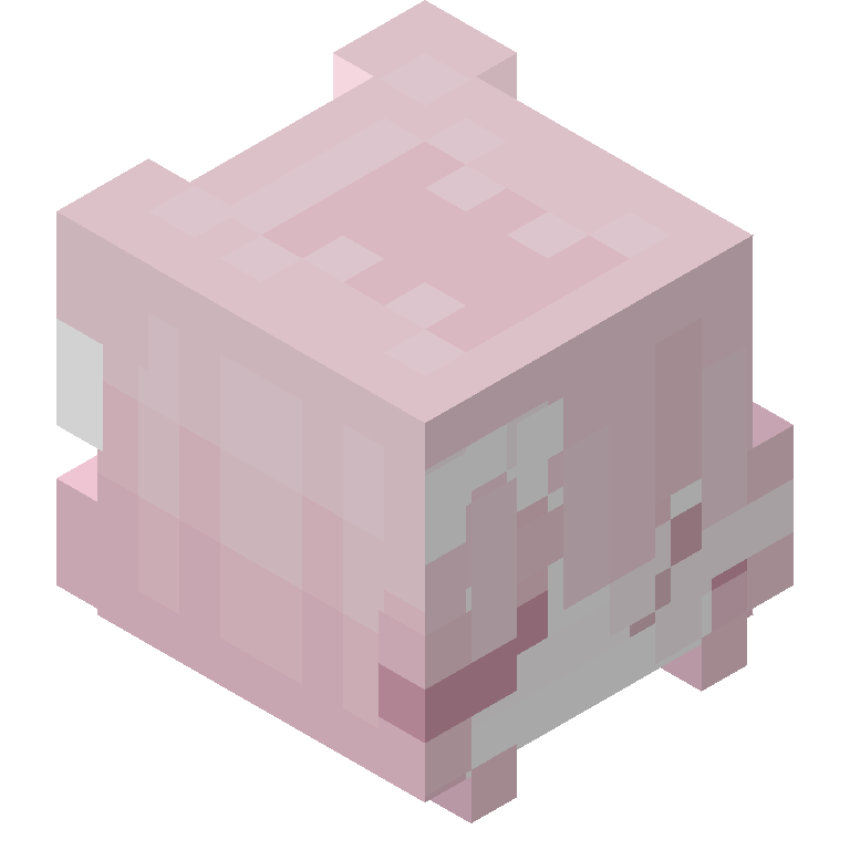 HEAD_ISO