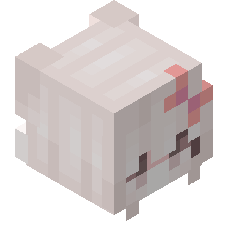 HEAD_ISO