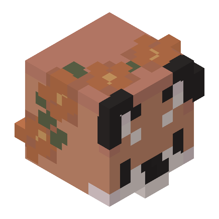 HEAD_ISO