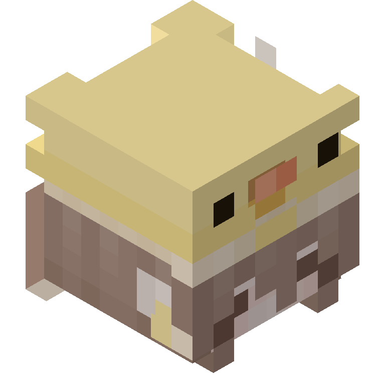 HEAD_ISO