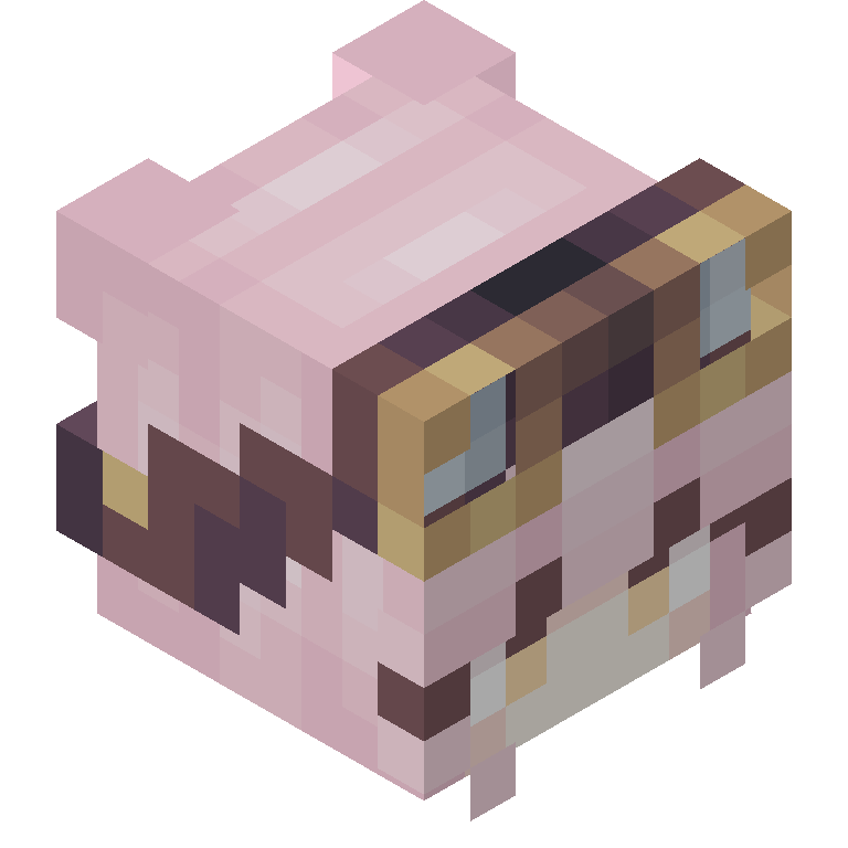 HEAD_ISO