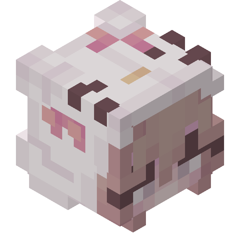 HEAD_ISO