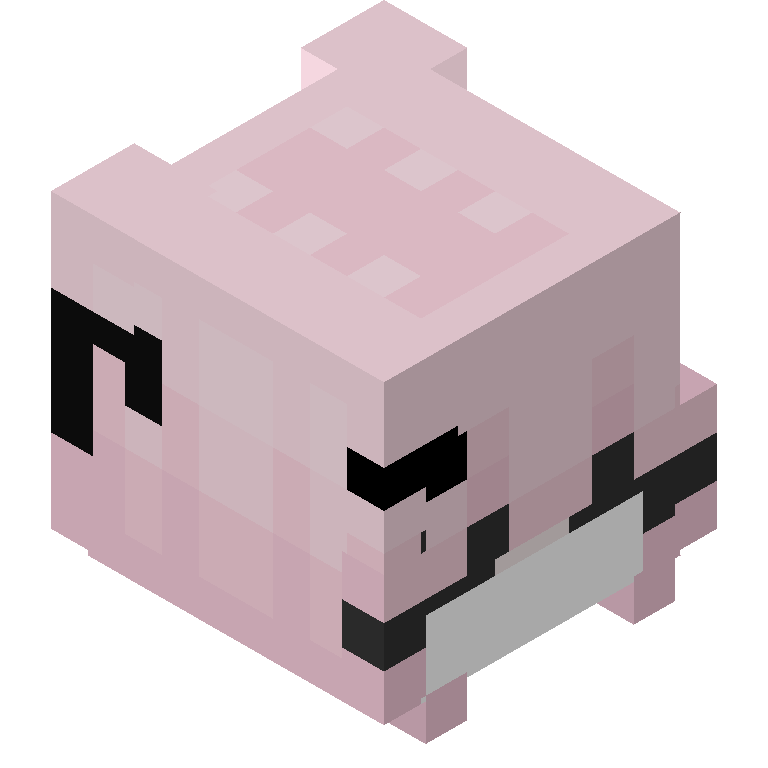HEAD_ISO