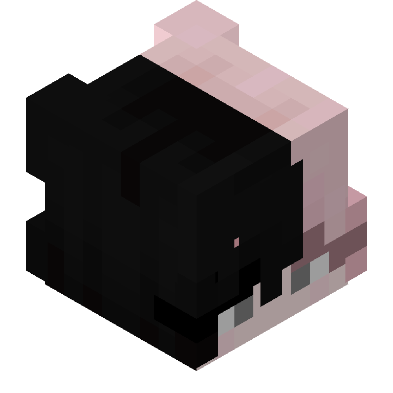 HEAD_ISO