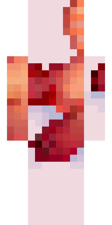 BODY
