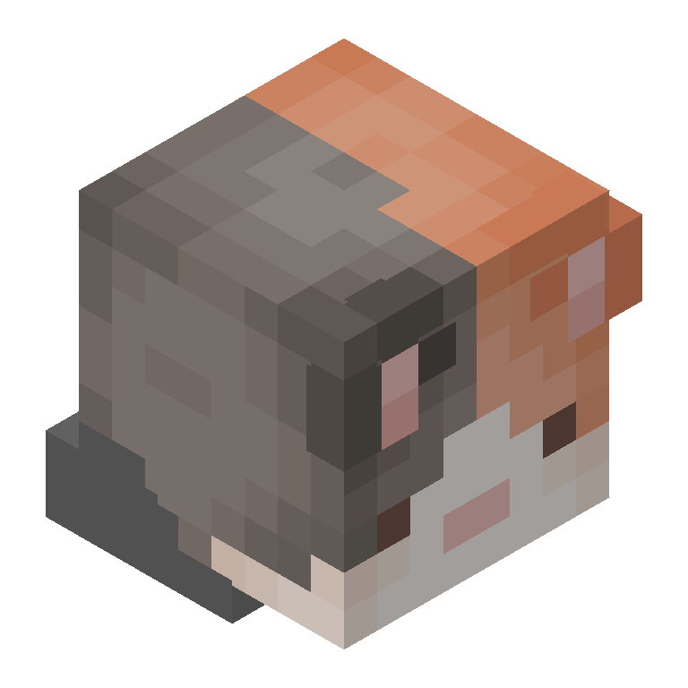 HEAD_ISO