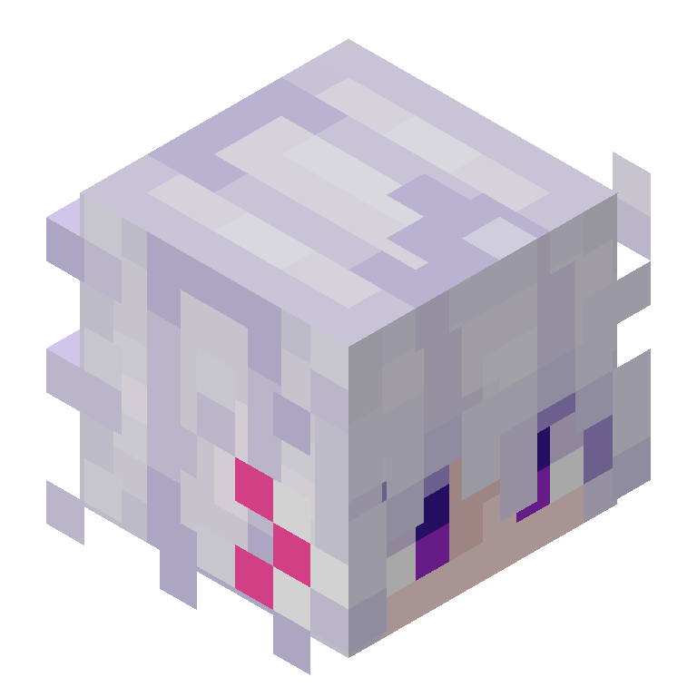 HEAD_ISO