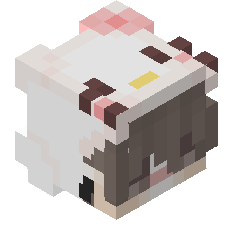 HEAD_ISO