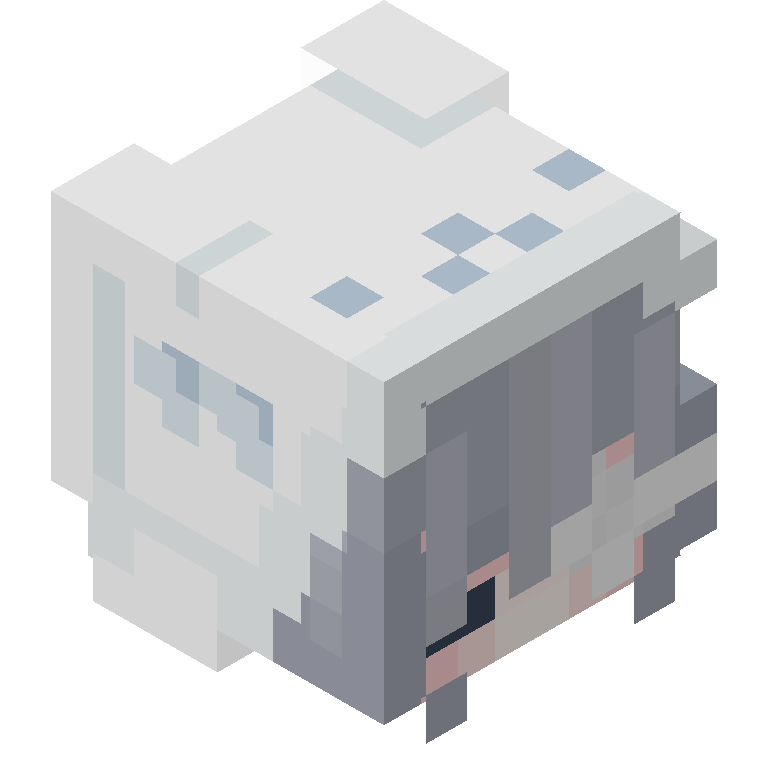 HEAD_ISO