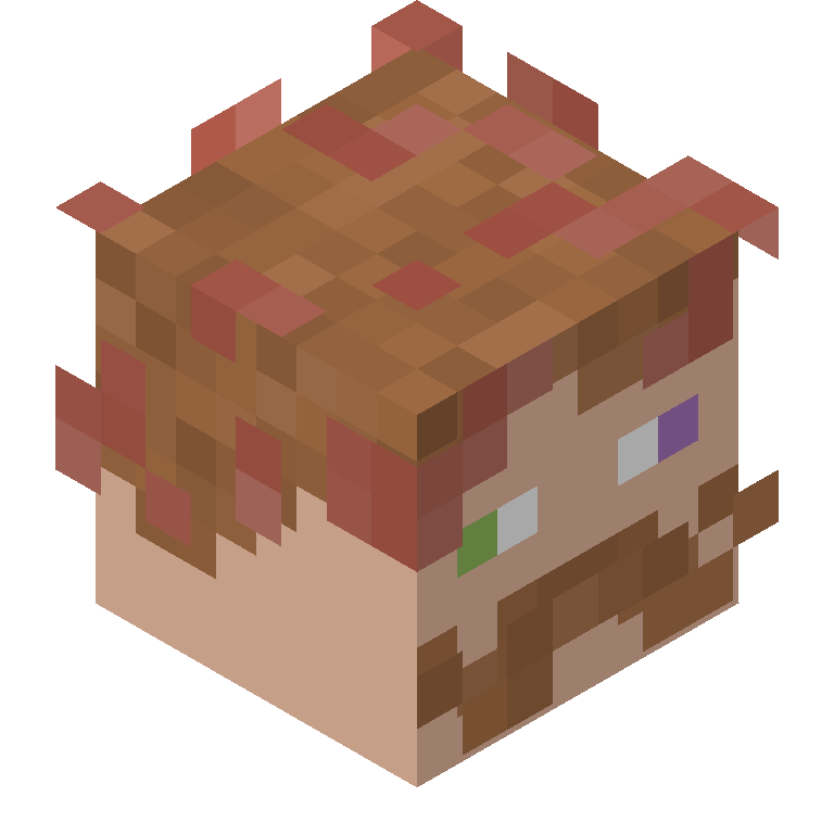 HEAD_ISO