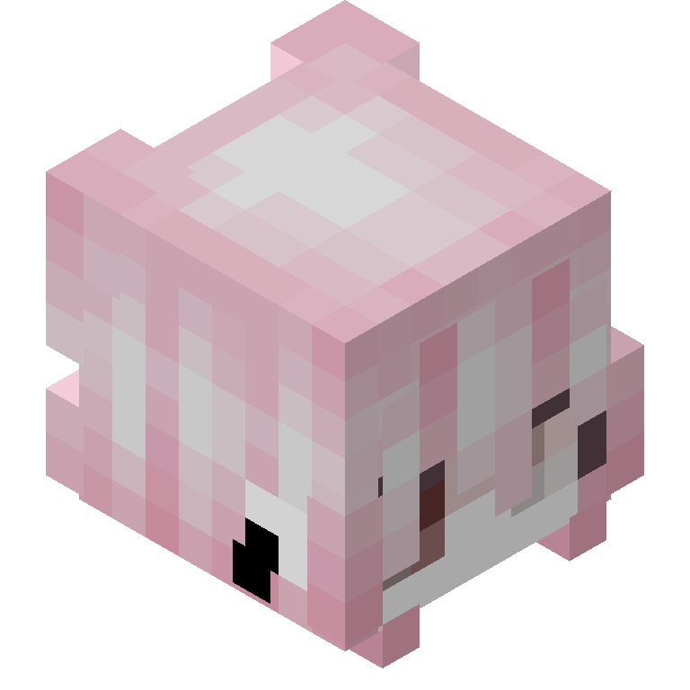 HEAD_ISO