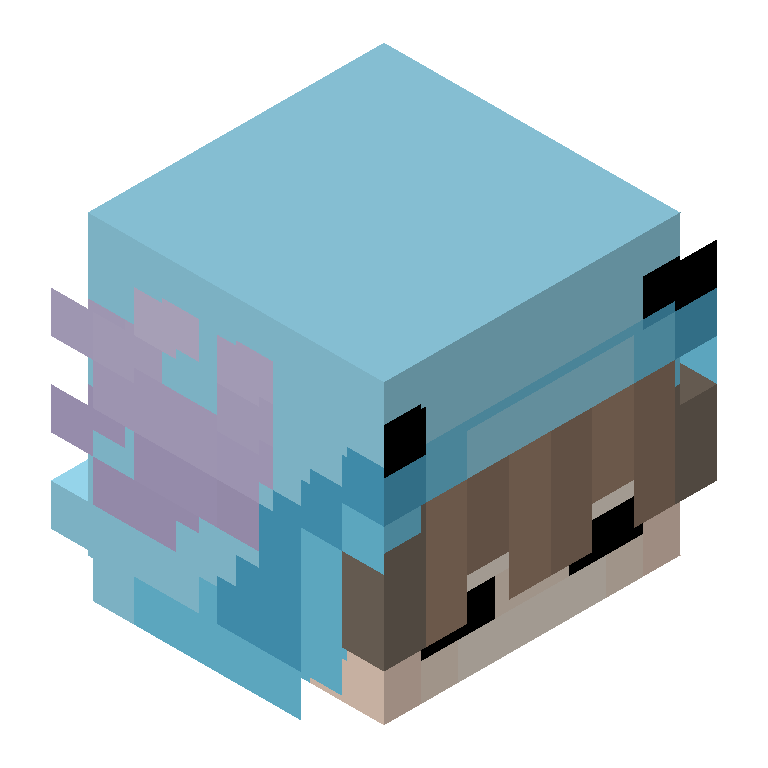 HEAD_ISO