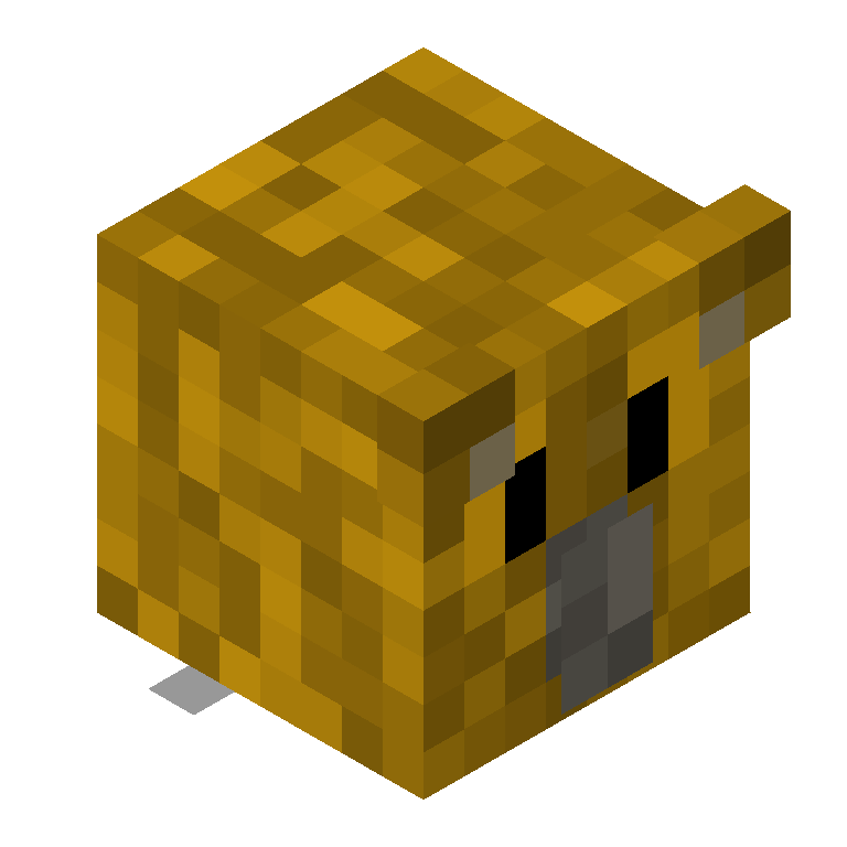 HEAD_ISO