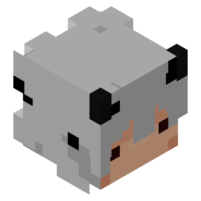 HEAD_ISO
