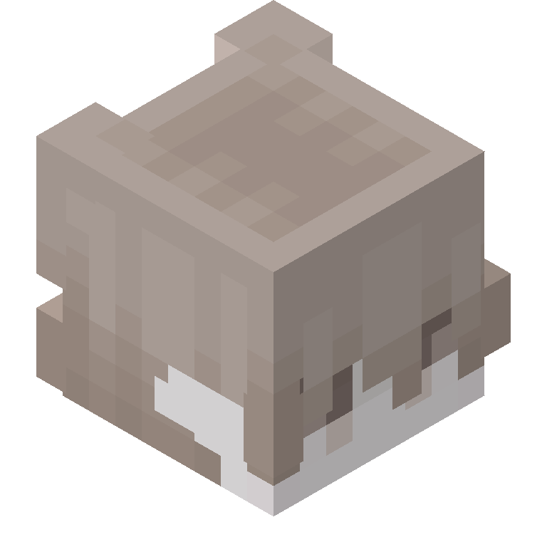 HEAD_ISO