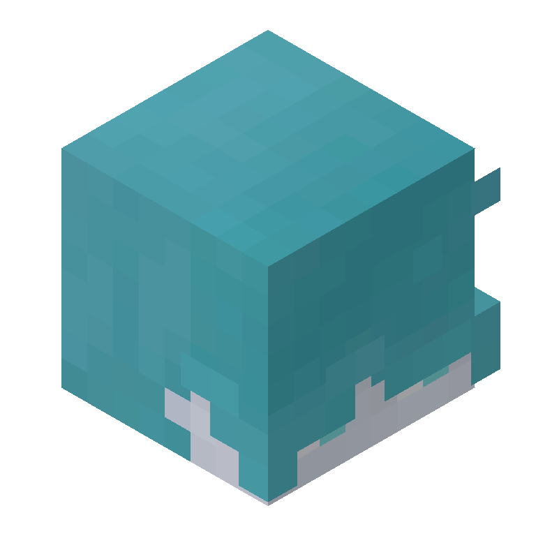 HEAD_ISO
