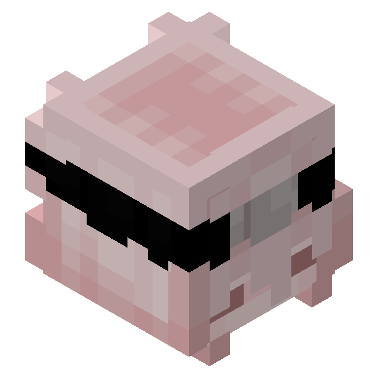HEAD_ISO