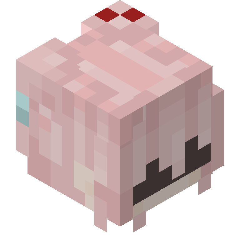 HEAD_ISO