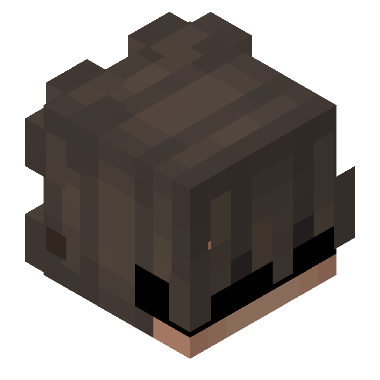 HEAD_ISO