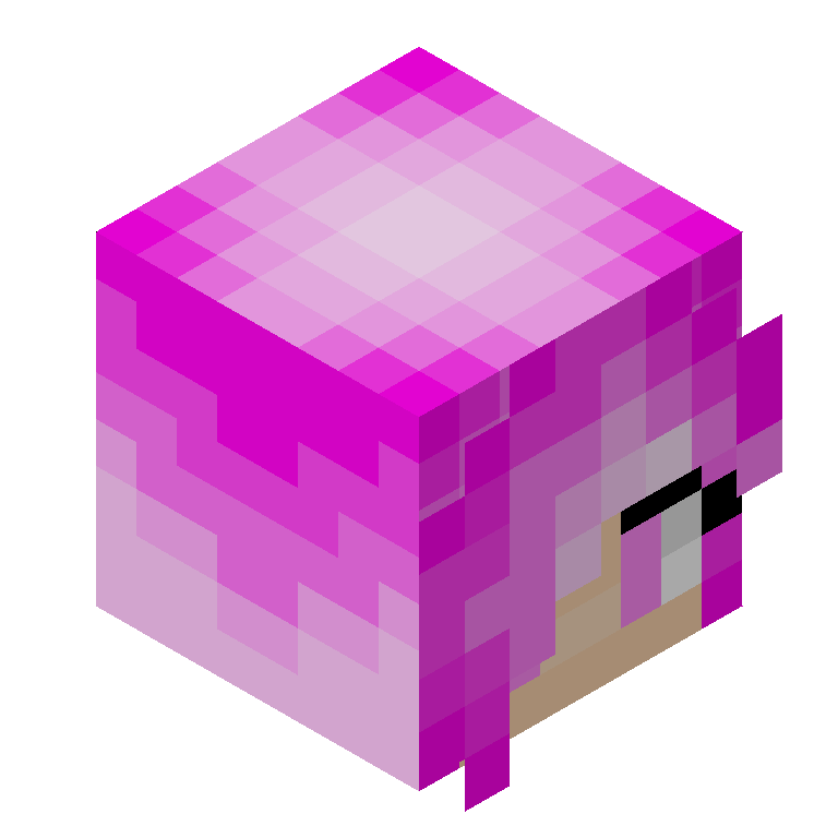 HEAD_ISO