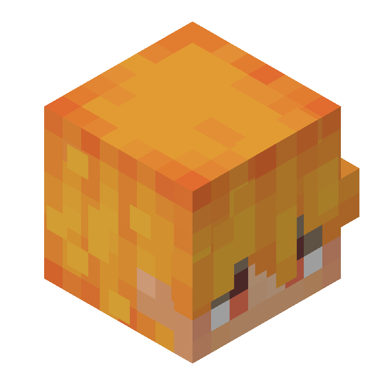 HEAD_ISO