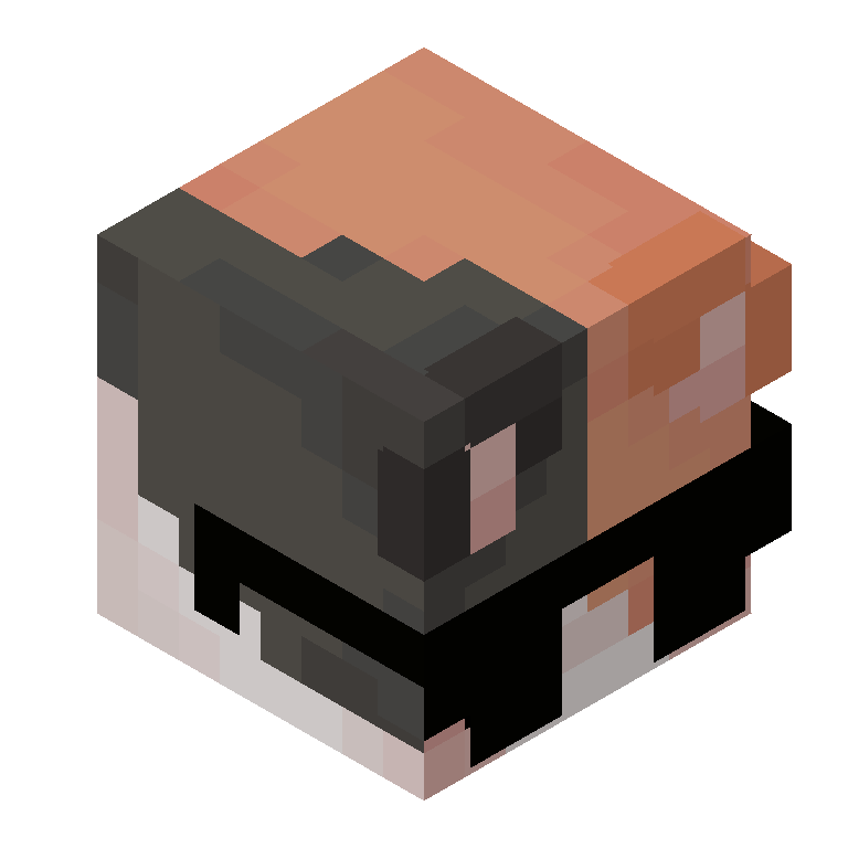 HEAD_ISO