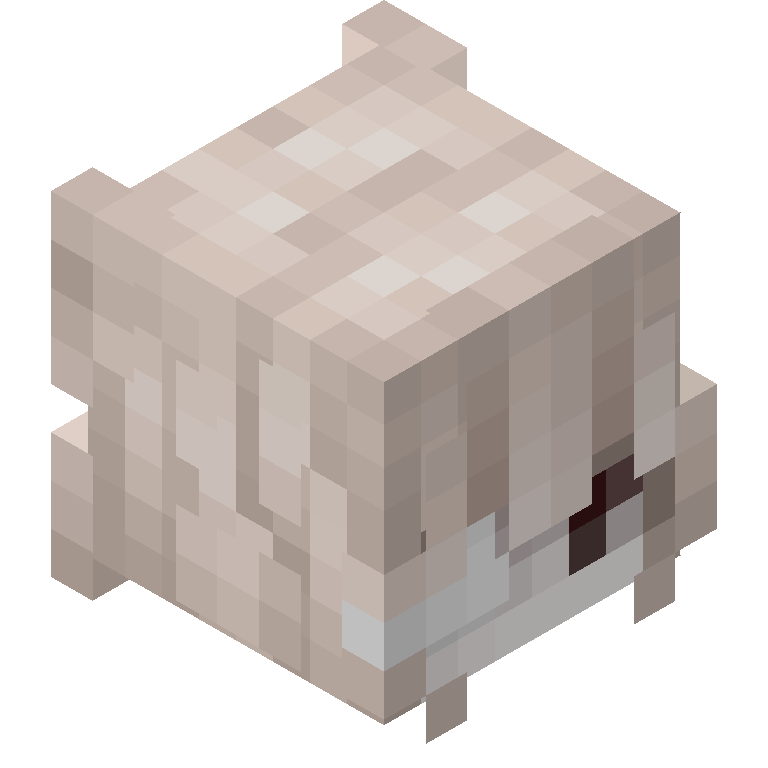 HEAD_ISO