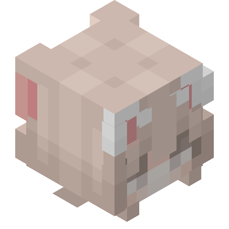 HEAD_ISO