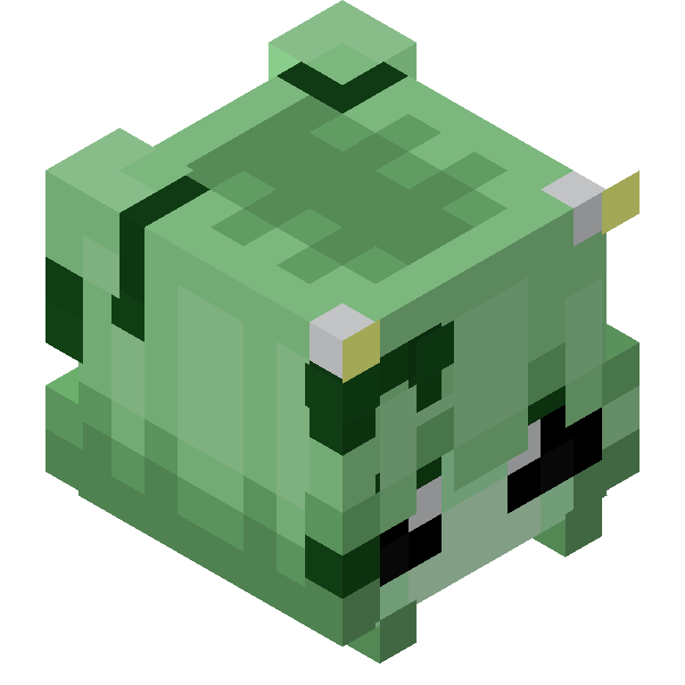 HEAD_ISO