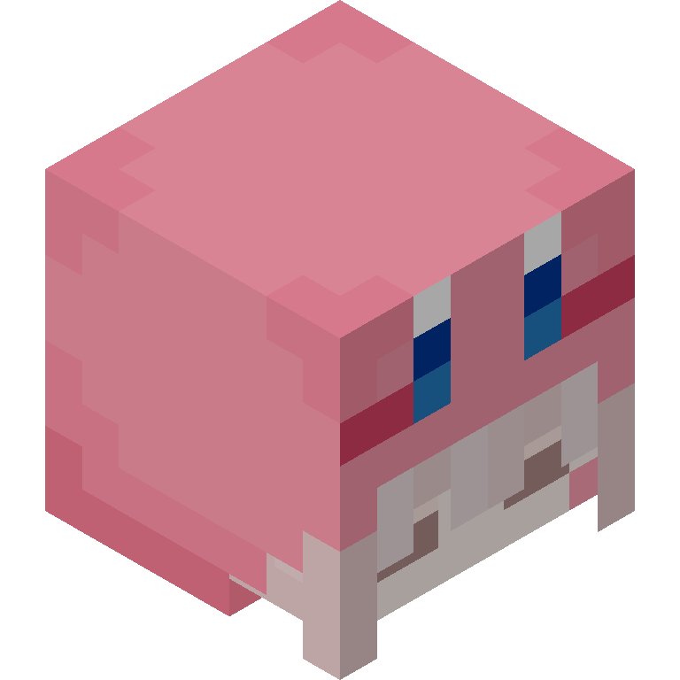 HEAD_ISO