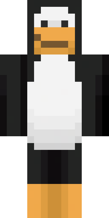 BODY