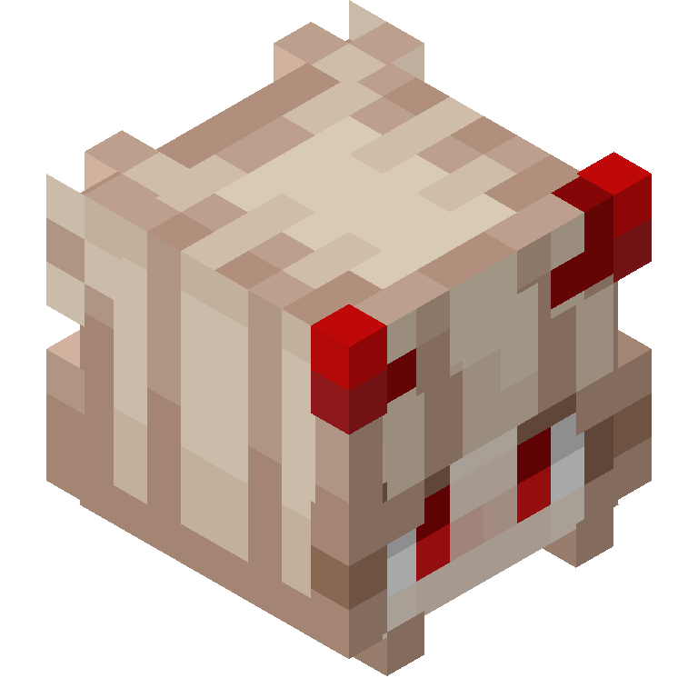 HEAD_ISO