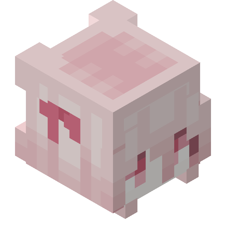 HEAD_ISO