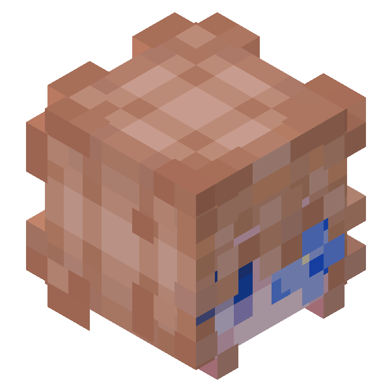 HEAD_ISO